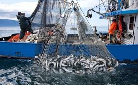 Fishery Science Entrance Exam